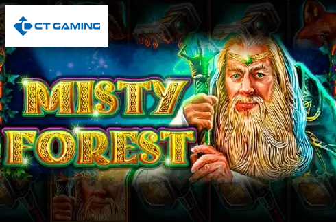 Misty Forest